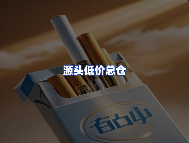 专业团队